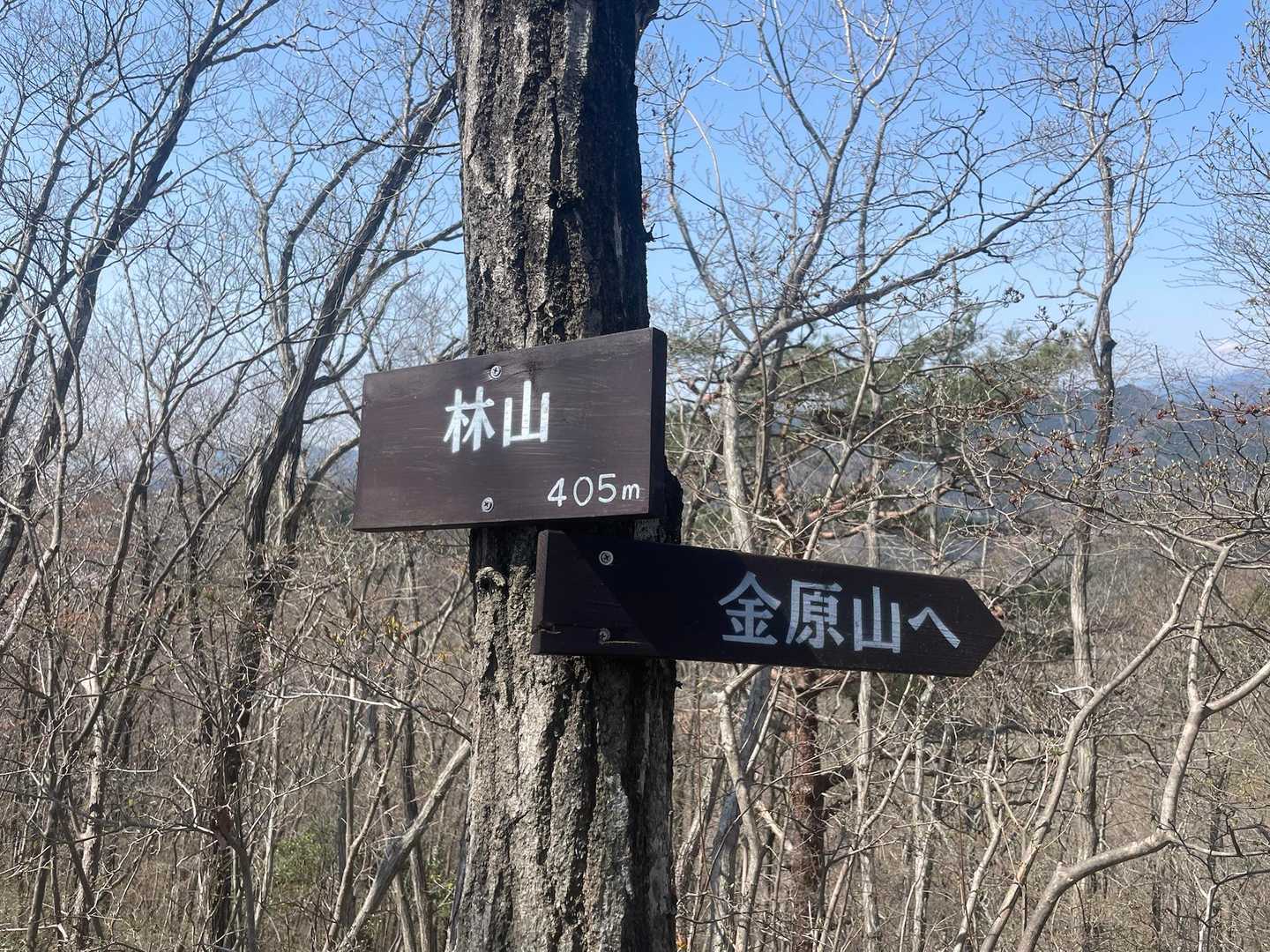 早くも三座目に到着
「師匠の未踏ピーク、天が岳までいいですよ」
でも引き返して一床案内してくれることになりました🙏

