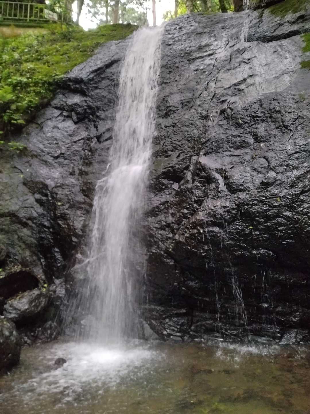 権現山 往復コースの写真