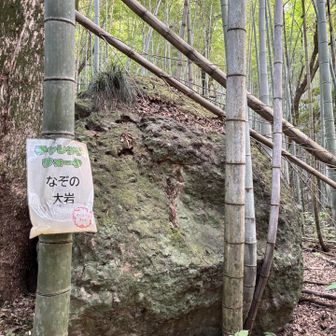 「なぞの大岩」🪨