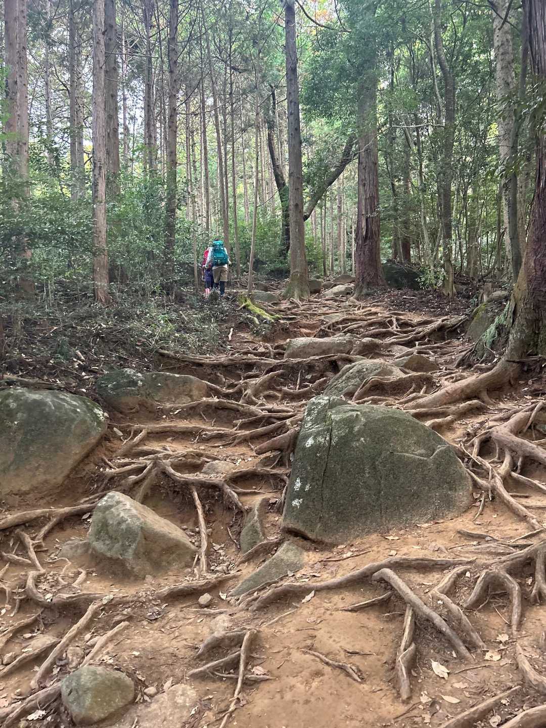 筑波山神社入口バス停-御神橋-筑波山-筑波山-白雲橋コース 縦走コースの写真