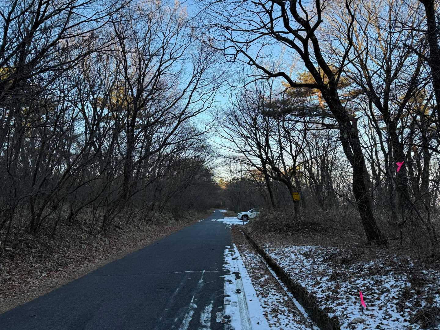 なんとか日没前に戻ってこれました
