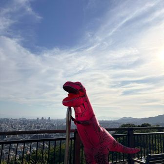 こちらは、停泊中の船に乗っている子に。実習中で、もうすぐ終わるんだって。色々お話して、Instagramも交換。
鬱の症状もあるらしく、私の体験談を興味深く聞いてくれました。私もずっと鬱症状で悩んできたから、少しでも改善できたらいいなぁ。