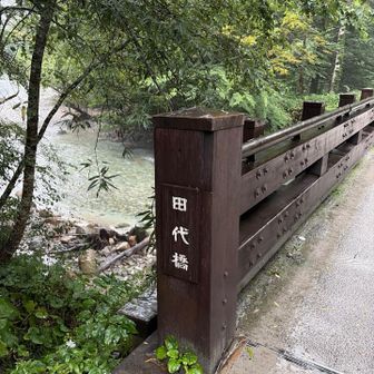 初めまして田代橋。