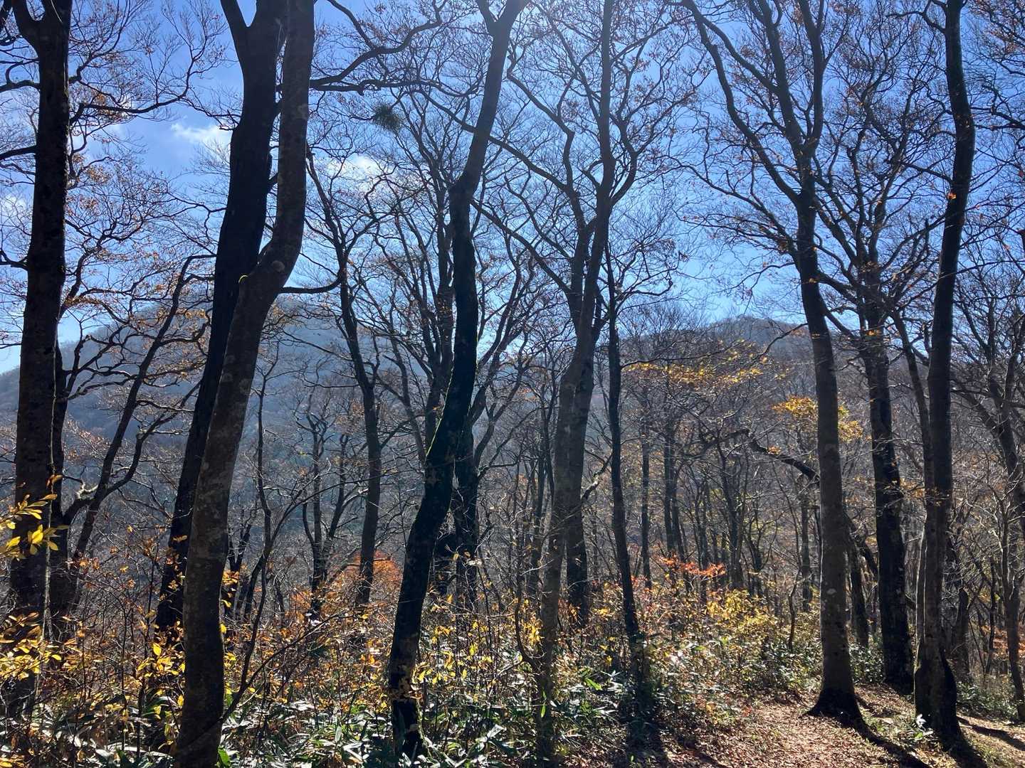 左:立烏帽子山
右:池の段