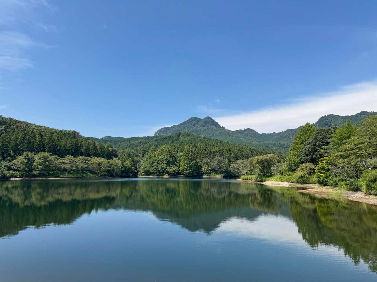 長倉山-鞍掛山-シゲト山-猪倉峠 周回コースの写真