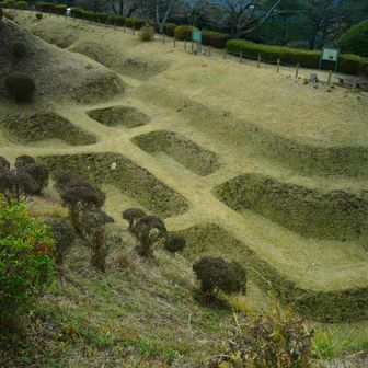 まるでワッフル🧇
工事中だったし外のお茶屋さんやってなかったので、また来たい（車で）😭寒ざらし団子😭