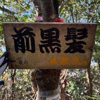 本城岳（前黒髪）⛰️ 登頂🙌

ここは追加してよかった👍
⛓️に🪜に岩🪨歩き　アスレチック感が体験できました✨

あっ　でも
枕木階段はキツかったな
