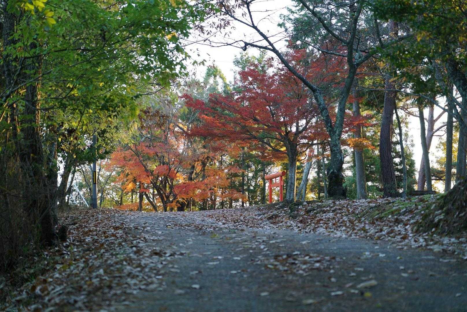 ほぼ山頂⛰️