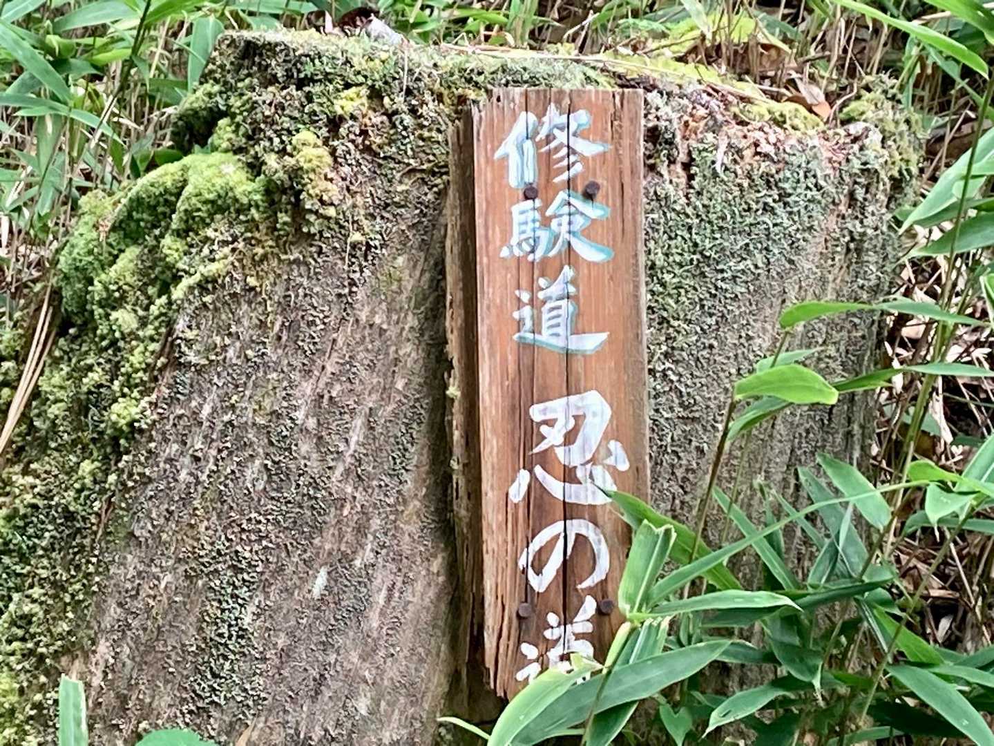 ワクワク😀