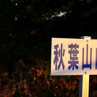 日が当たるだけでかっこいい