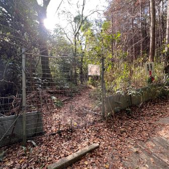 滝行場の方へ行くため、柵をあけて進みます。
その後は鳶塚へ向かいます💪