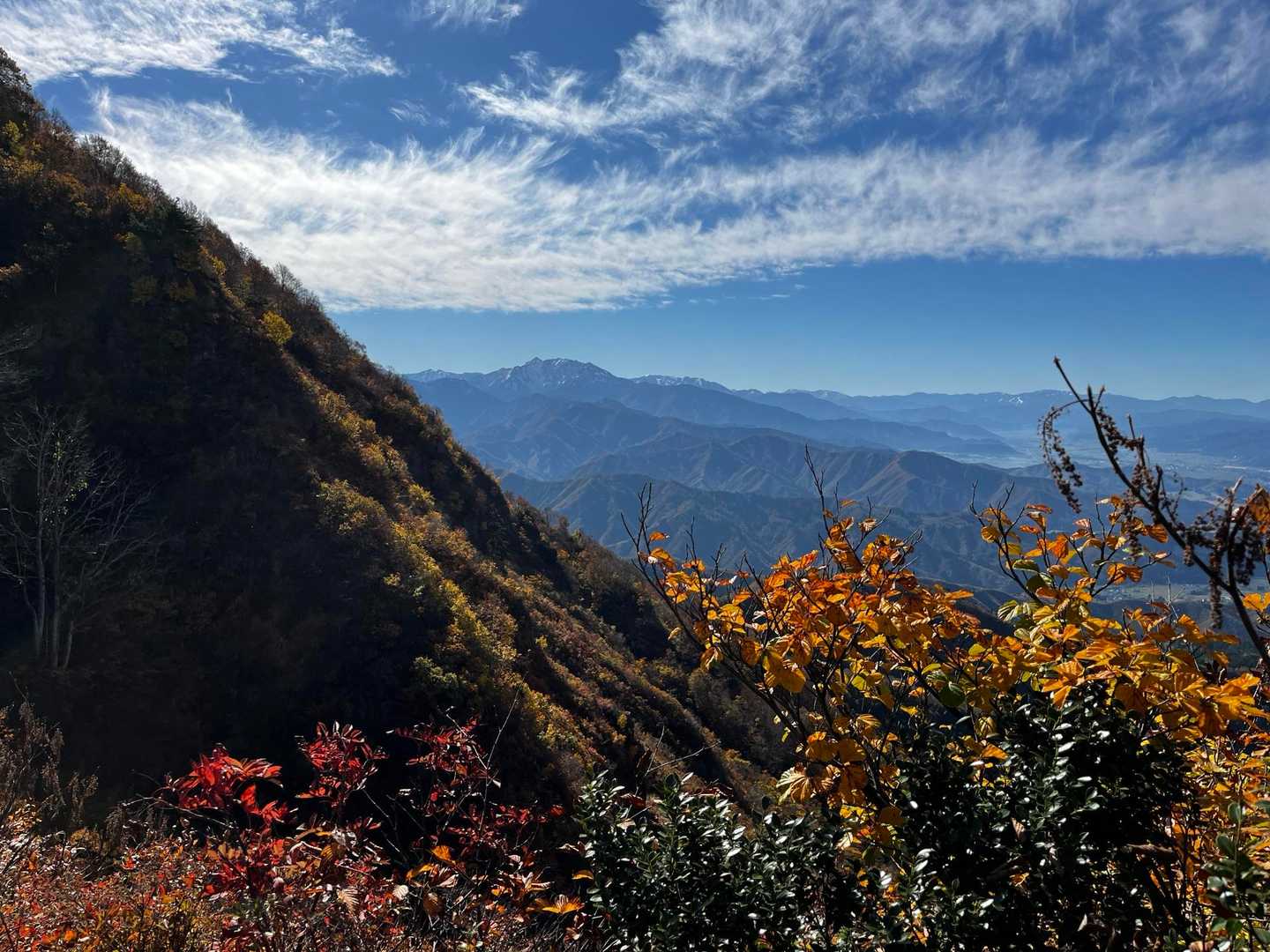 権現堂山周回 | 戸隠神社の境内を抜け、ブナ林と越後三山の大展望を歩くの写真