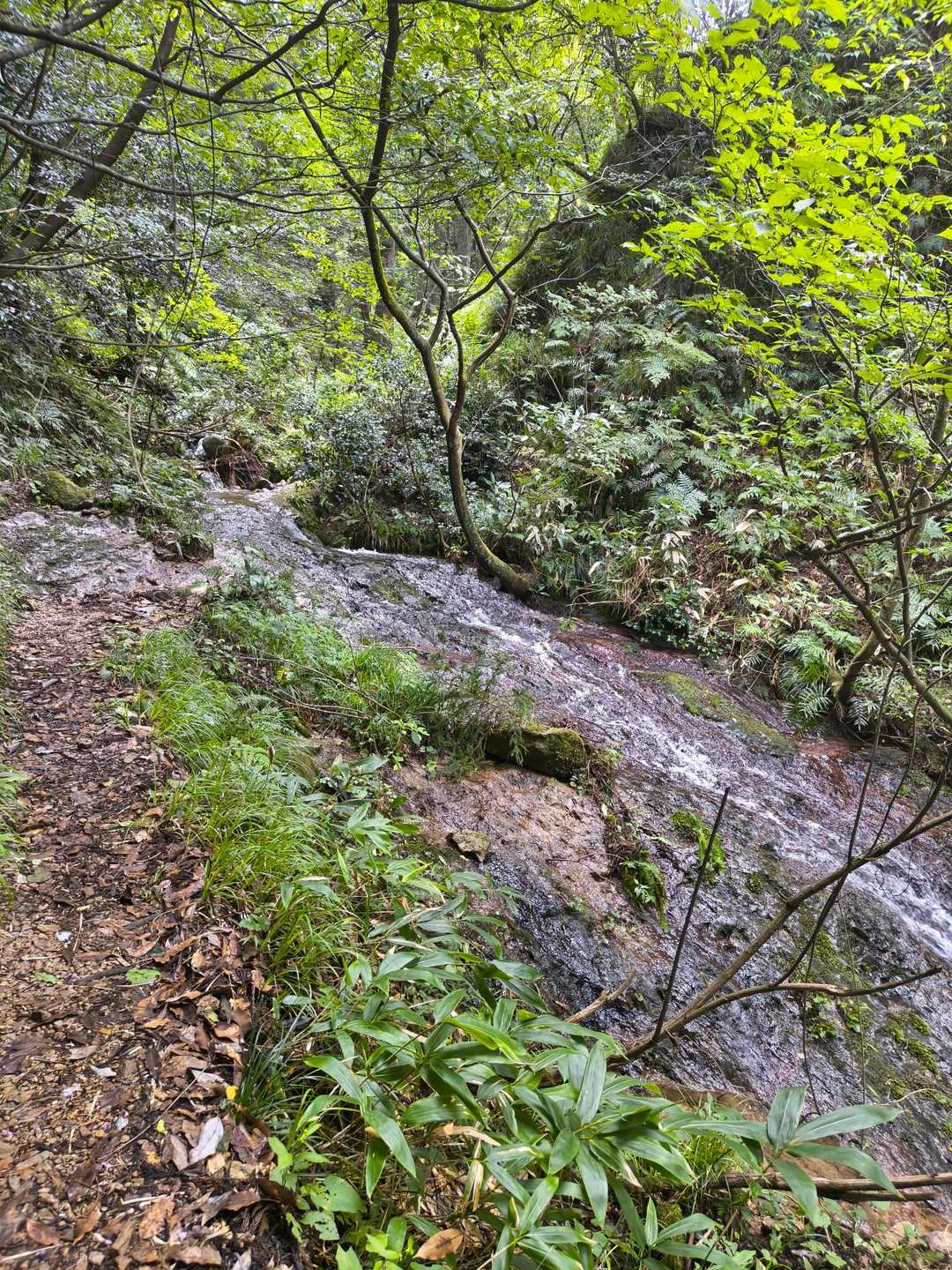 静かにな水が流れてます😗　久しぶりの行者岩コース楽しかったな〜　鞍掛山は面白い