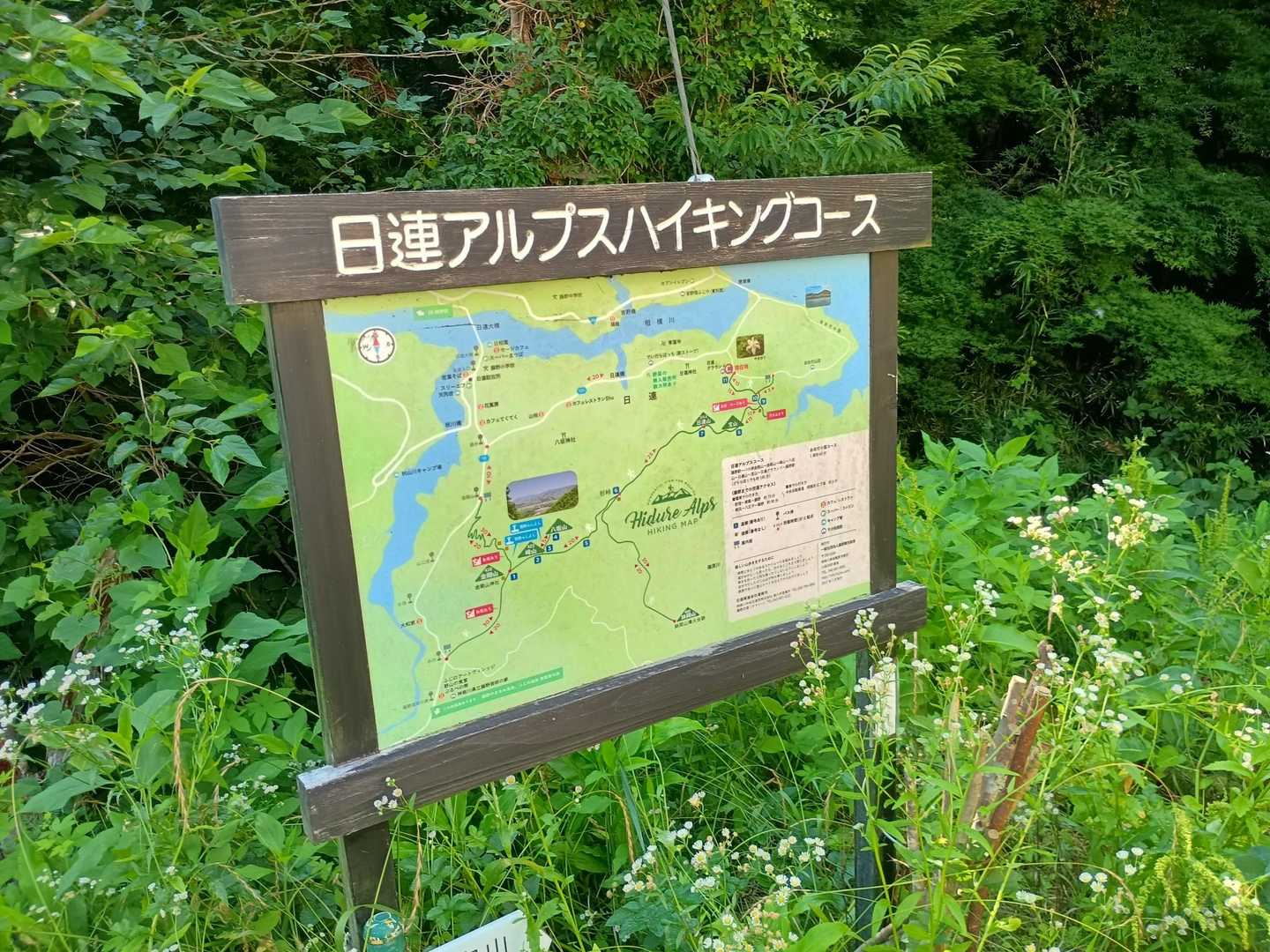 やっとここから山道