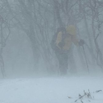 少し前に先頭を交代
暴風雪の中を行くあうさん