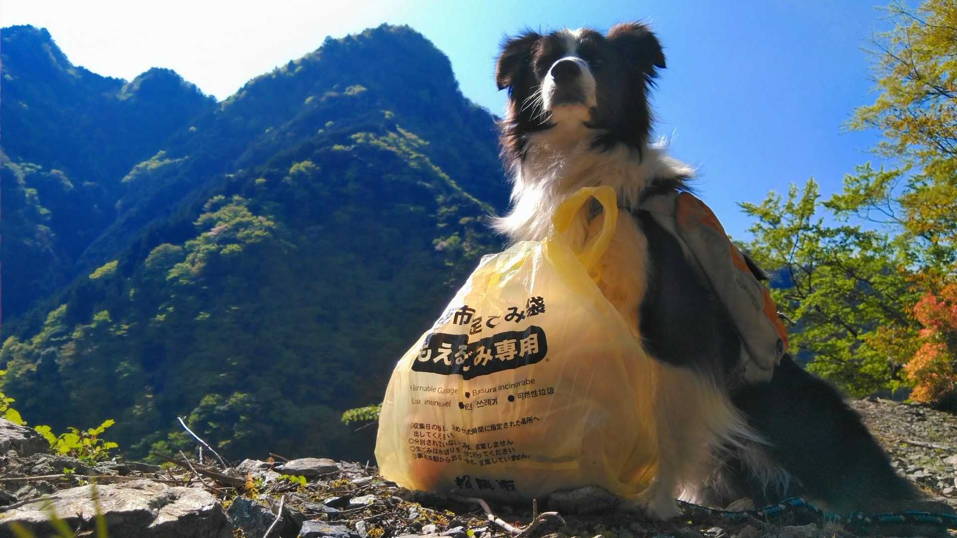 🐺👍️🐺👍️清掃登山🧹 飯盛山・迷岳・口迷岳 / 清掃登山犬ハルとフクさんの迷岳・白倉山・古ヶ丸山の活動データ | YAMAP / ヤマップ
