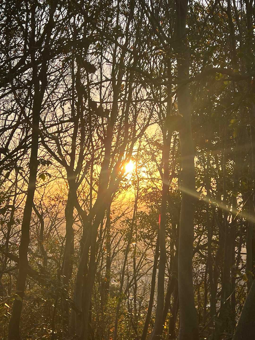 洞山 往復コースの写真