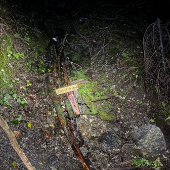 暗い樹林帯は黙々と登れて効率がいいと感じる

本ルート唯一の水場、ほとけの清水まであっという間