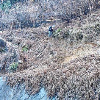 途中、崩落箇所がいくつかあります。滑りやすかったりするので歩かれる方は注意です。