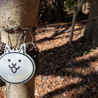 にゃんこにご挨拶😄