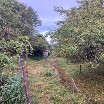 前回、西南方面から、ここまで来て下山。本日は、ここから北西方面へ。