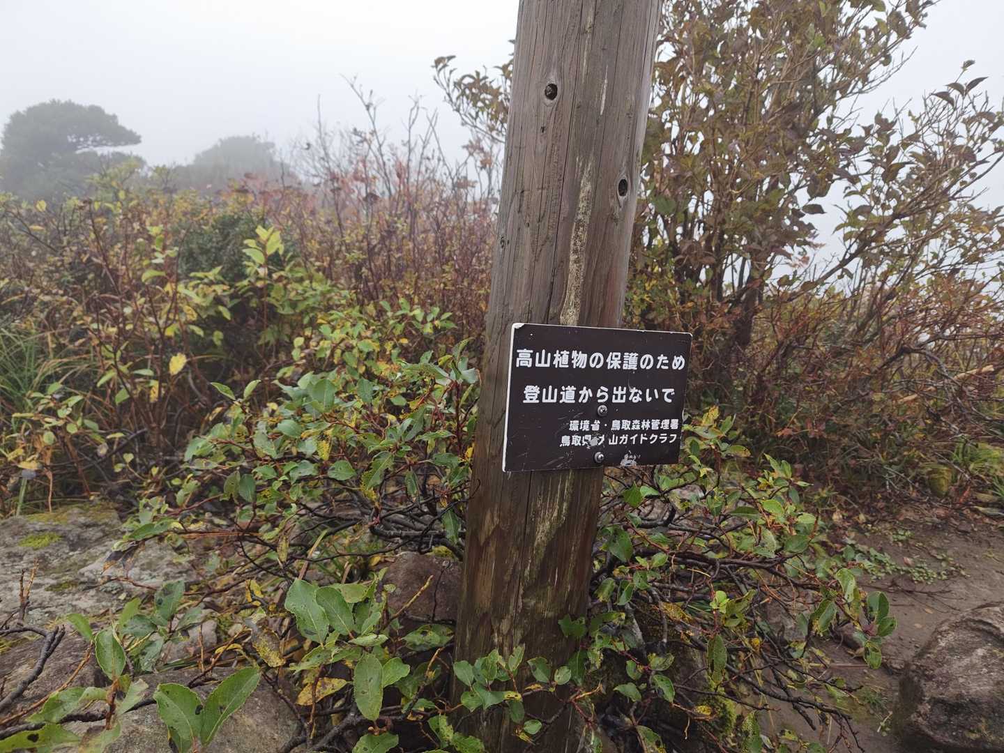はい🫡