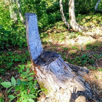 背もたれ付きのチェア🪑
