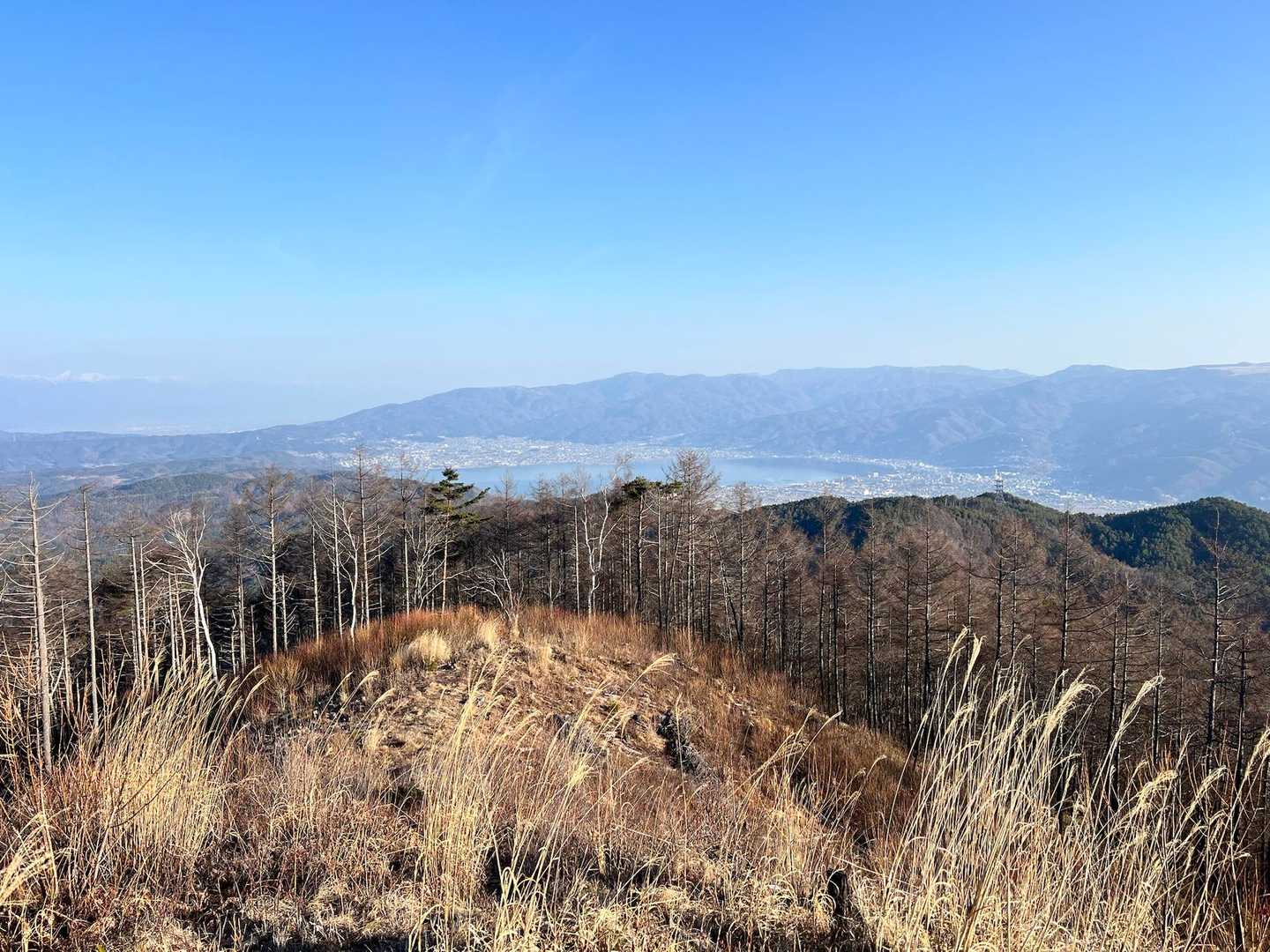 立石登山口-守屋山東峰 往復コースの写真