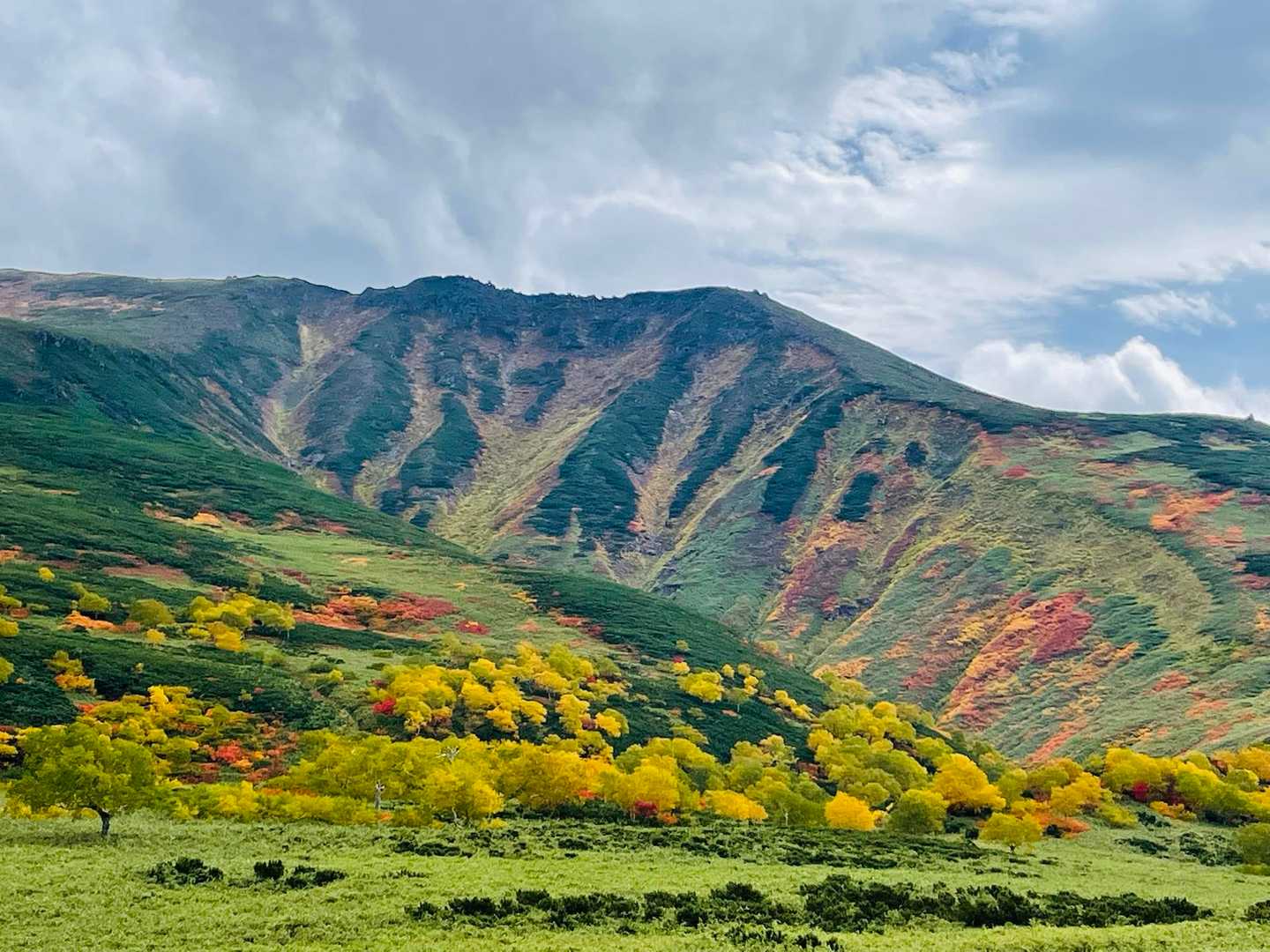 愛山渓登山口-沼ノ平-当麻乗越 往復コースの写真