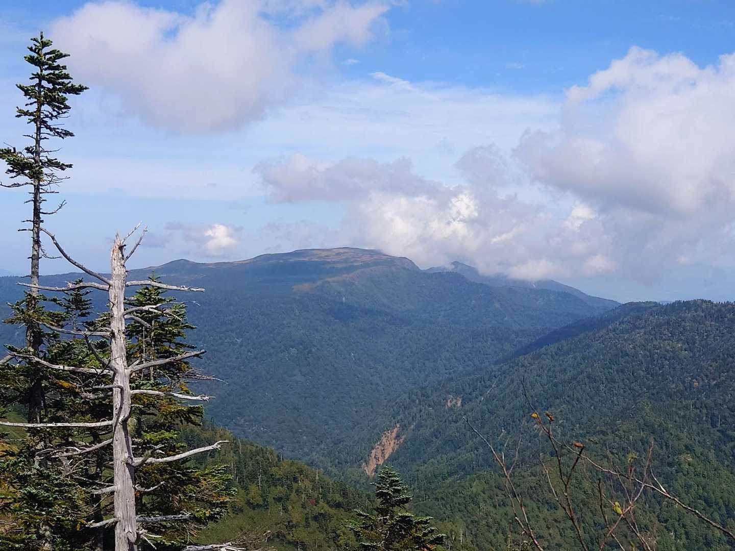 山頂から苗場山を望む👀