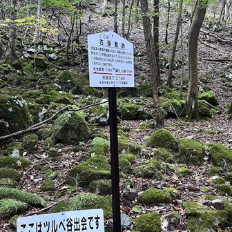 ツルベ谷出会デス。