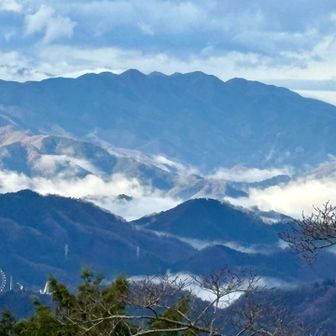 左下に観覧車🎡