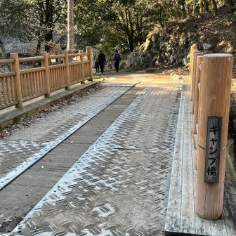 お〜い待ってくれ〜、走る体力はないぞ😲