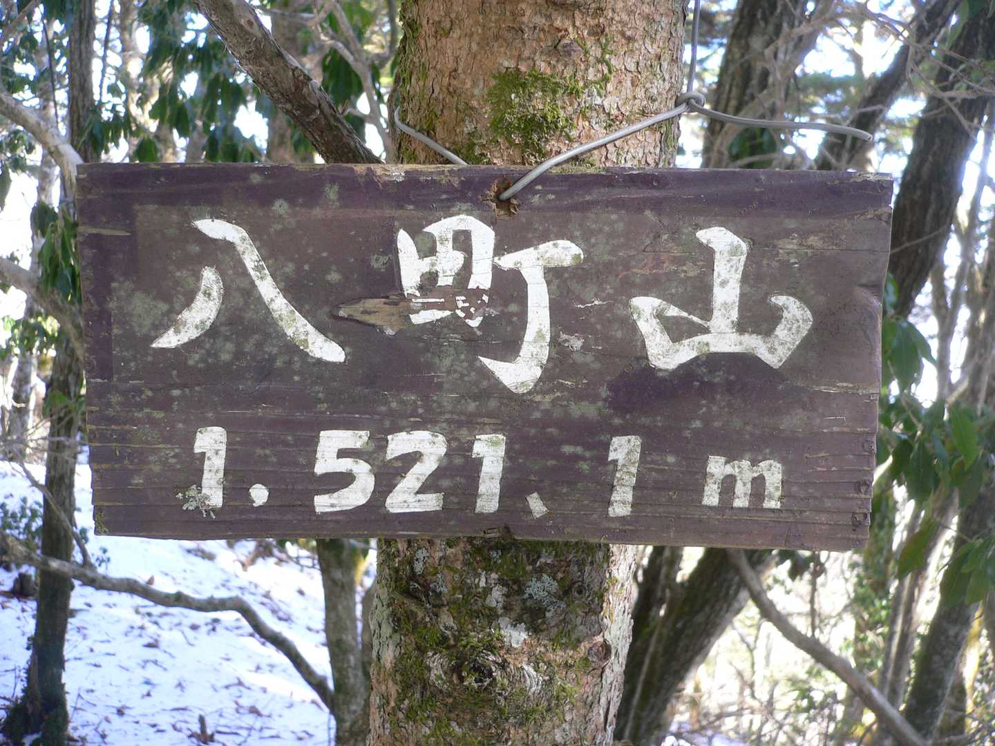 倒木をベンチにおやつ休憩してから下山。