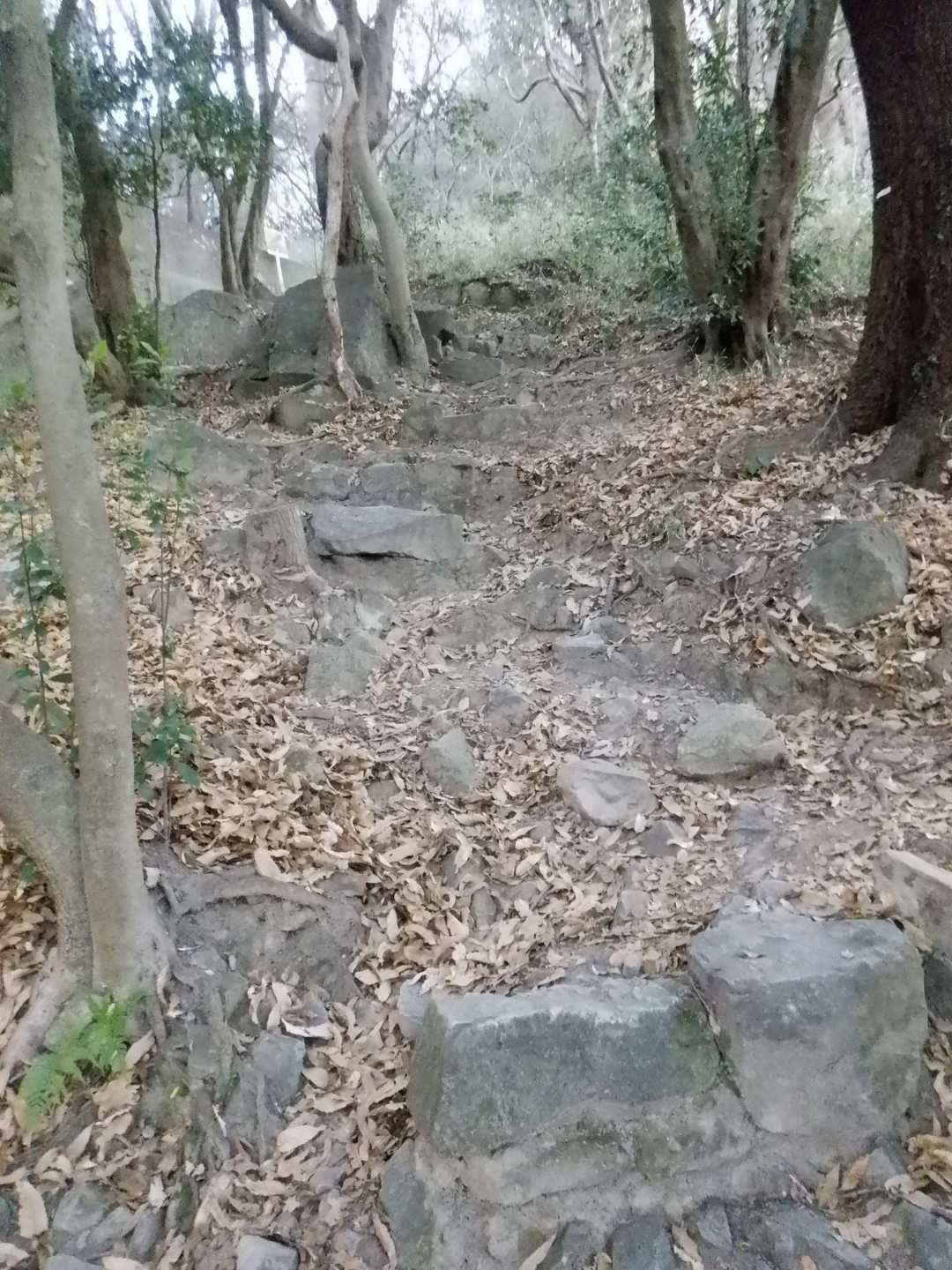 この段差も暗いと厳しいわ｡｡｡