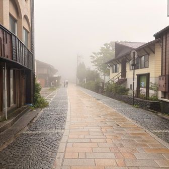 時間が早いのでまだ営業は始まってませんが、いろんなお店あります