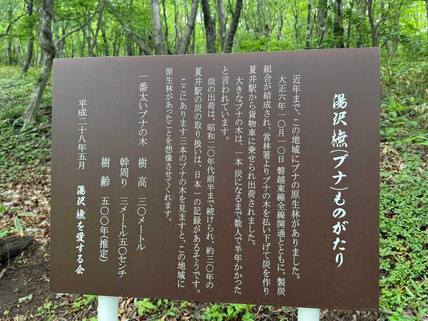 だそうです😲ー