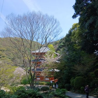 清水寺三重の塔
