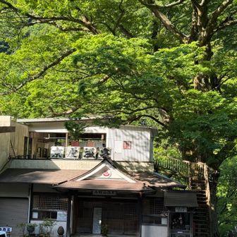 ゴール京屋温泉駐車場❗️
お風呂に入るか聞かれたけどホテルへ🏨
