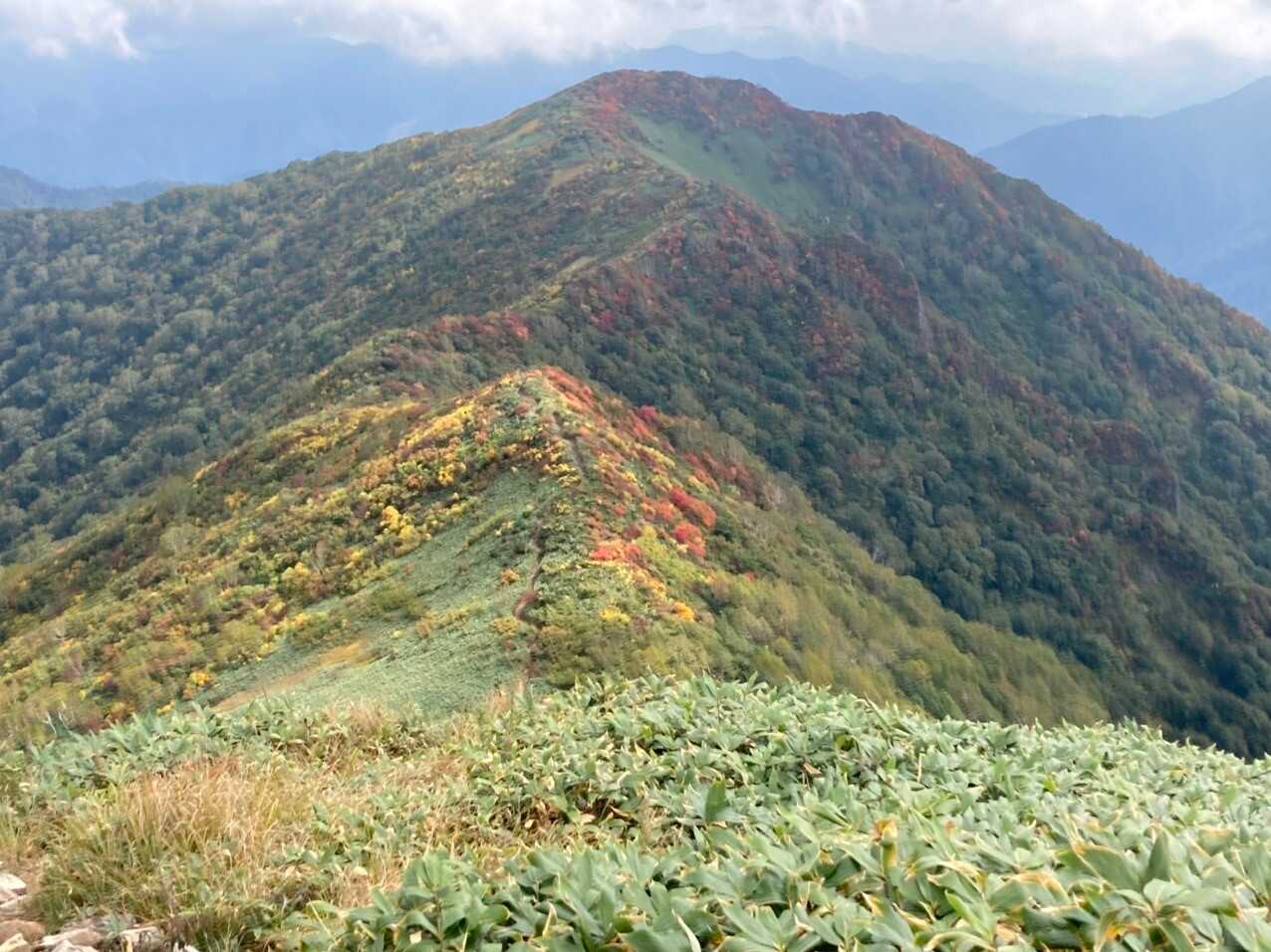 白毛門の写真