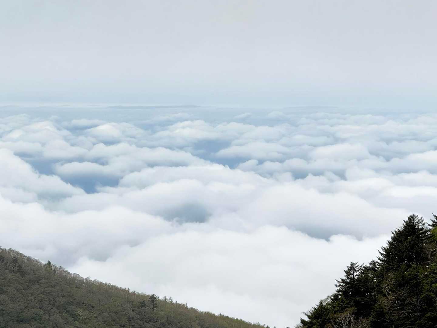 雲海🌥️迫力❗️

自然の力強さを感じる…