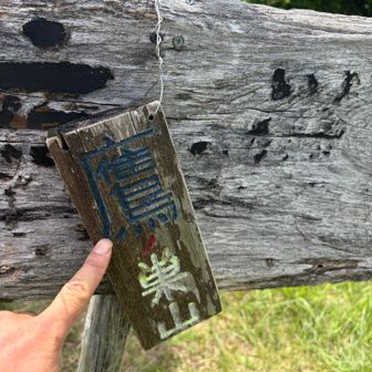 お久し鷹ノ巣⛰️