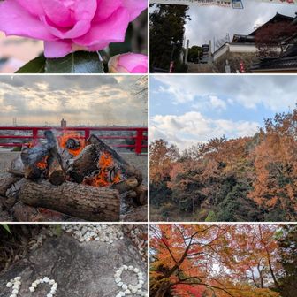 中山寺。
麓の紅葉も艶やかさ薄い。