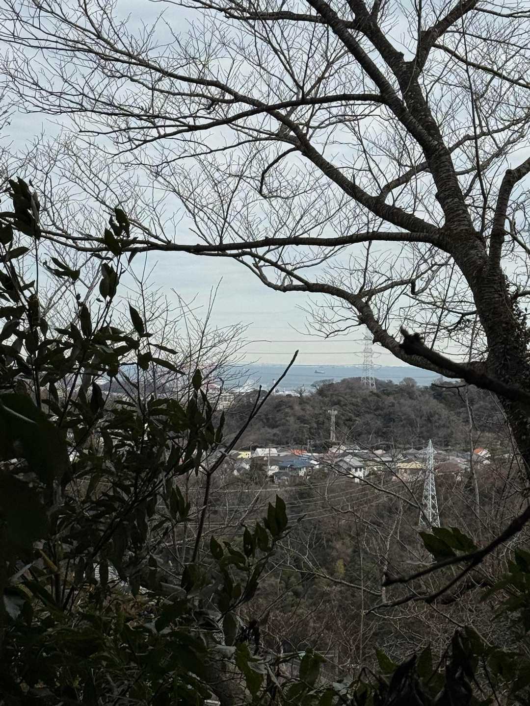 ちらっと海