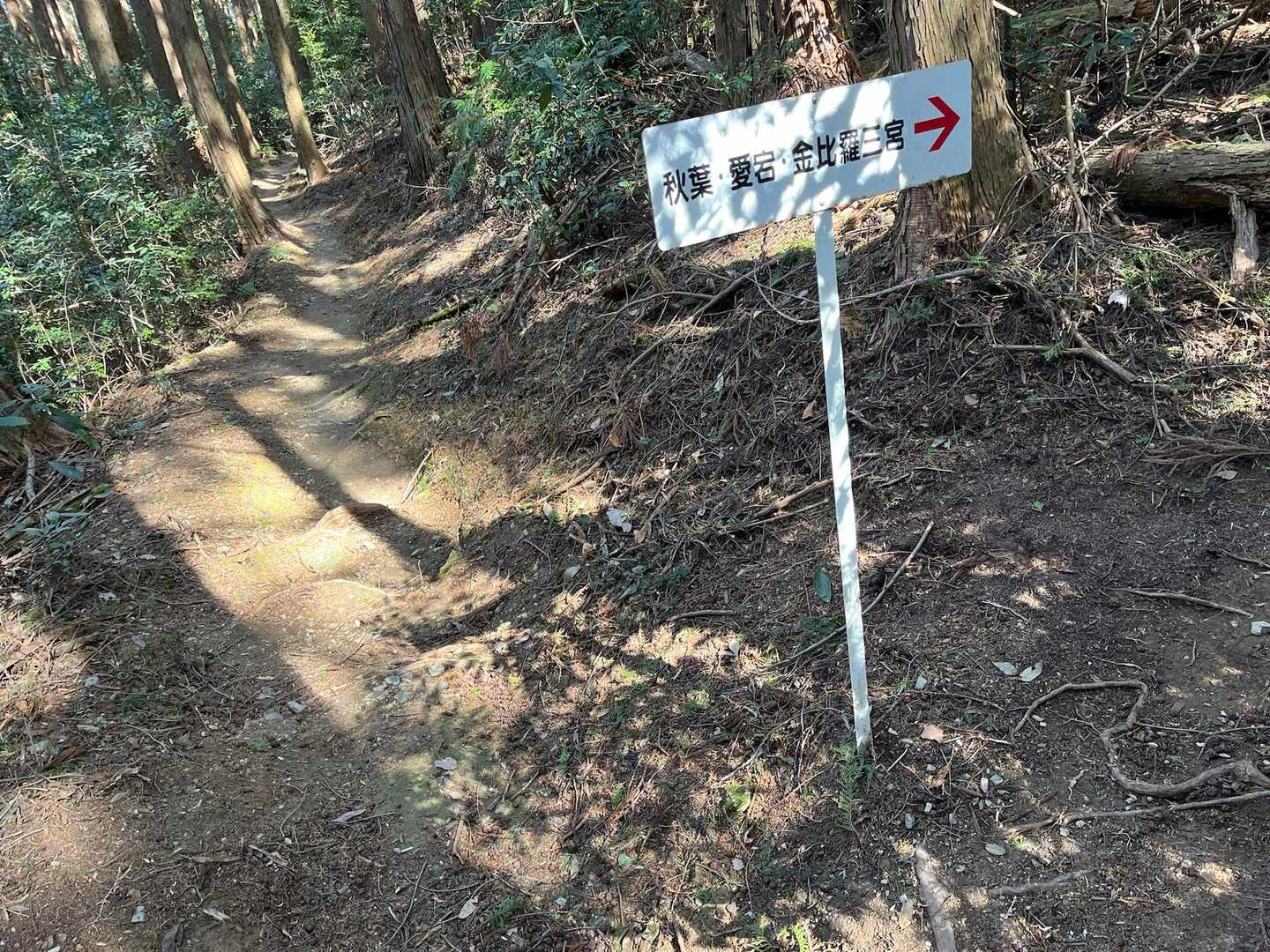 少し寄り道