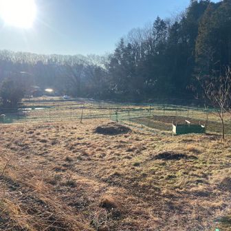 ひろくてのんびり。しゃりしゃりひんやり。