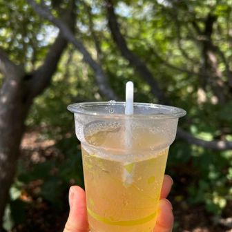 手作り梅シロップの炭酸割りを山頂で頂く
甘〜ぁい香り🩷美味しい〜
と、、スズメバチ🐝が飛んできて、私の真横に置いたザックに止まる
その距離10cmくらいかなぁ
ギャーと騒ぎ、追払いたいところ、すかさず知識豊富な山友ちゃんが冷静に「じっとして！動いちゃダメだよ！」って、、
じーっと微動だにせず、チラチラ見ながらも、平然を装う私
するとスズメバチは飛び去ったけど、、
至近で見ると、とても大きくて怖い顔してる😱
そりゃ、聞いてはいたけど、、
それを実行できるか否かが問題で、冷静な山友ちゃんに感謝😊