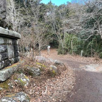 高校生の野球部かな？部員が多い😆
この辺から風が吹いてきた🌪️