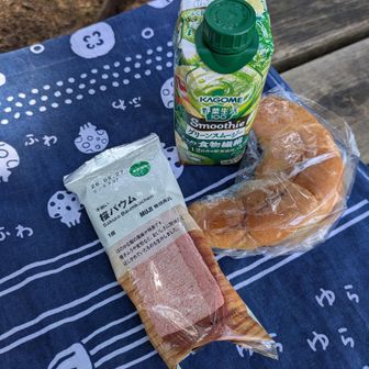 やっとランチ場を見つけた
春らしく桜バウム