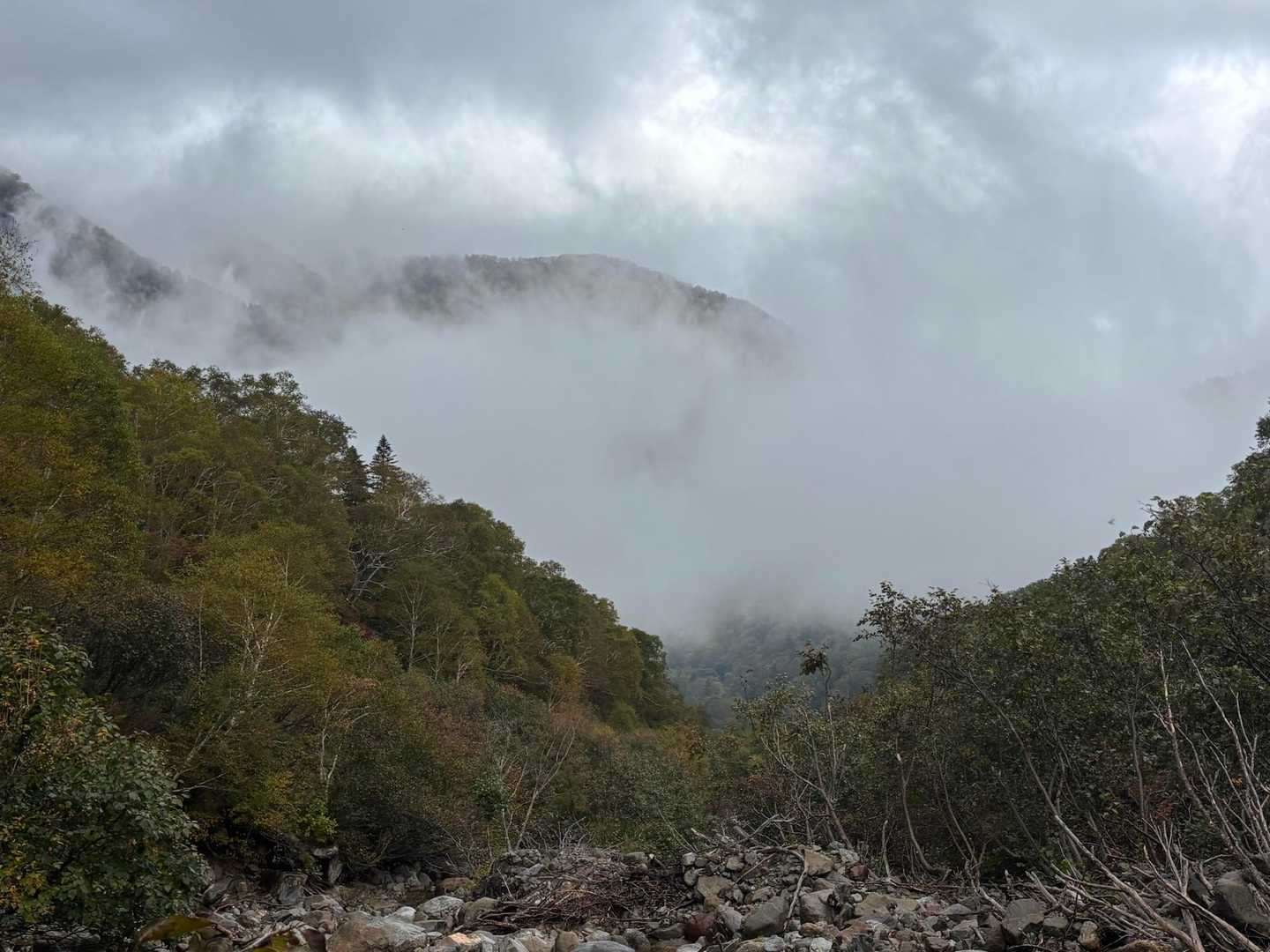 幻想的な光景ですが雨はシトシト降ってます☔️卒業したと思ってたんだけど雨男に再就職かぁ😓